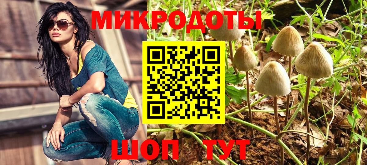 Псилоцибиновые грибы Psilocybine cubensis  Псилоцибиновые грибы Psilocybe  Уфа  купить наркотики сайты  Вход с VPN 